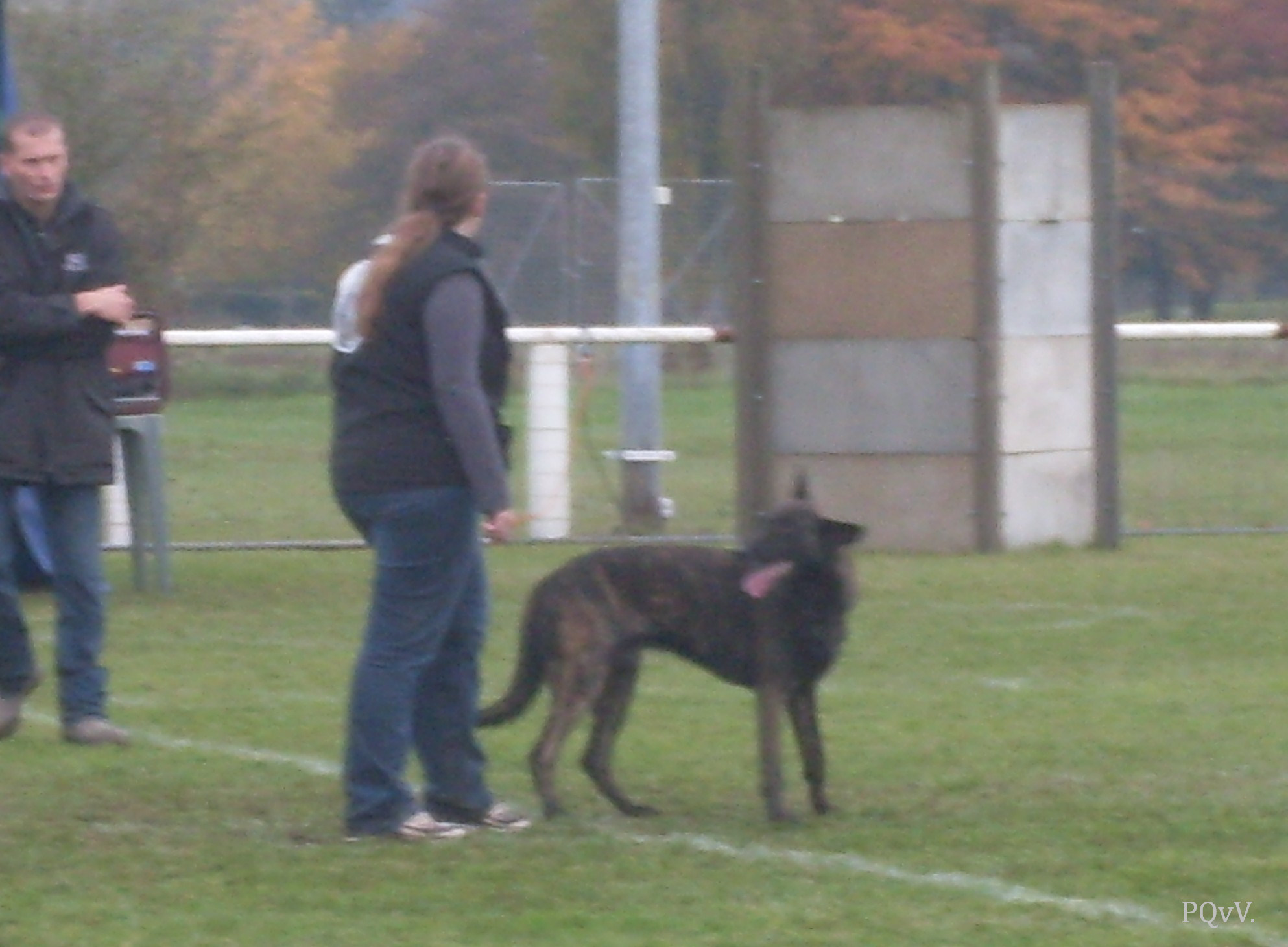  Eros des Crocs d’Olympe